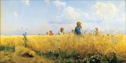 Поле - це