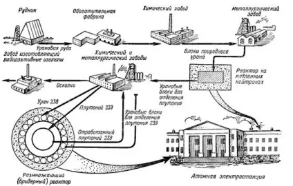 Корисні копалини уранові руди (руди) Корисні копалини уранові руди