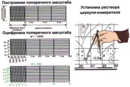 Поперечний масштаб - студопедія