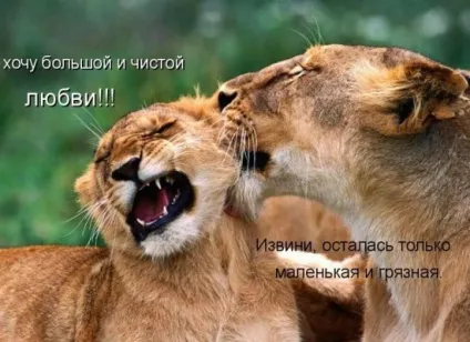 Про чисту любов