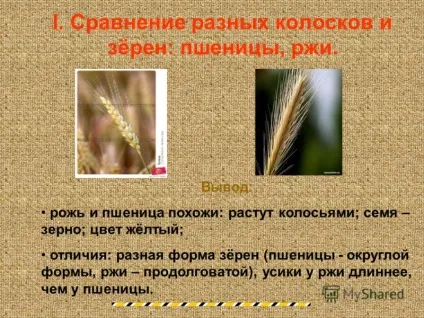 Презентація на тему як народжується хліб автори антонов дмитрий, хораськін дмитрий, учні 2 класу (автори: антонов дмитрий) Презентація на тему як народжується хліб автори антонов дмитрий, хораськін дмитрий, учні 2 класу