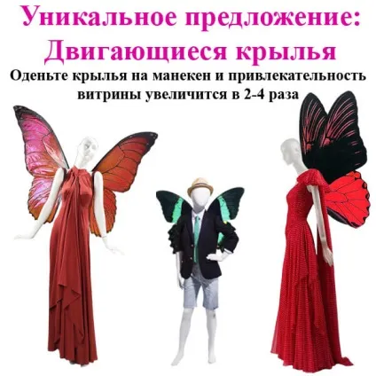 Правила оформлення вітрин