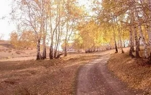 Рослинний світ