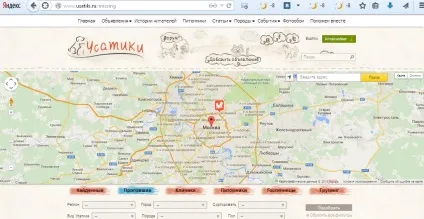 Пропала кішка що робити поради власникам, як знайти потеряшку (знайти) Пропала кішка що робити поради власникам, як знайти потеряшку