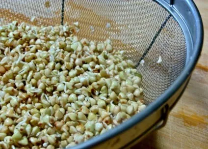 Пророщена гречка - міфи і реальність (пророщена) Пророщена гречка - міфи і реальність