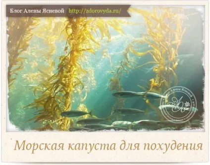 Рецепти для схуднення в домашніх умовах - корисні поради