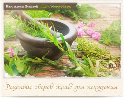 Рецепти для схуднення в домашніх умовах - корисні поради