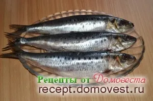 Оселедець івасі - повернення легенди - рецепти від домовеста (щоб) Оселедець івасі - повернення легенди - рецепти від домовеста