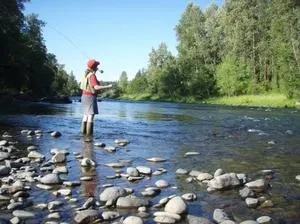 Північна риба муксун - фото, де мешкає, як ловити її і що з неї приготувати (риба) Північна риба муксун - фото, де мешкає, як ловити її і що з неї приготувати