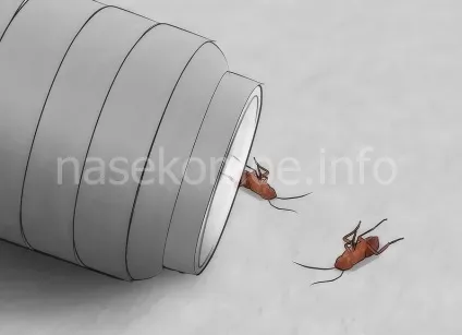 Сайт присвячений боротьбі з клопами (Встановіть пастку Помістіть) Сайт присвячений боротьбі з клопами