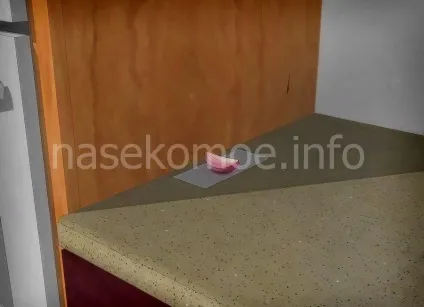 Сайт присвячений боротьбі з клопами (Встановіть пастку Помістіть) Сайт присвячений боротьбі з клопами