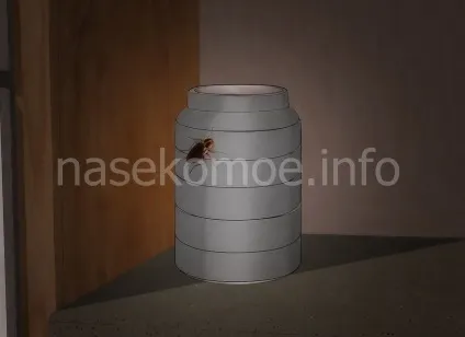 Сайт присвячений боротьбі з клопами (Встановіть пастку Помістіть) Сайт присвячений боротьбі з клопами