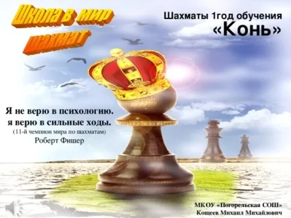 Шахи 1-й рік навчання