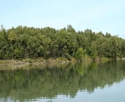 Найбільша річка вУкаіни знаходиться в сибіру (знаходиться) Найбільша річка вУкаіни знаходиться в сибіру