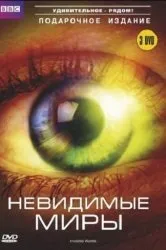 Дивитися серіал пси фактор хроніки паранормальних явищ онлайн безкоштовно в хорошій якості (серіал) Дивитися серіал пси фактор хроніки паранормальних явищ онлайн безкоштовно в хорошій якості