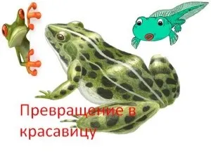 Казки складені дітьми, моє сонечко - інформаційний сайт для батьків (кіт) Казки складені дітьми, моє сонечко - інформаційний сайт для батьків
