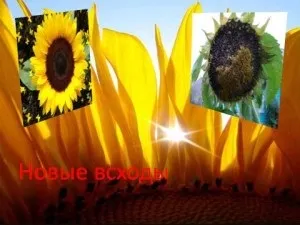 Казки складені дітьми, моє сонечко - інформаційний сайт для батьків (листочок) Казки складені дітьми, моє сонечко - інформаційний сайт для батьків
