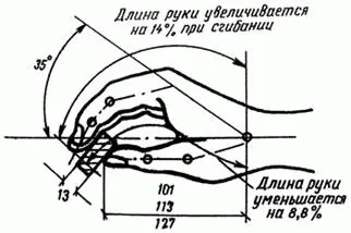 Синтекс -правила ергономіки робочого місця