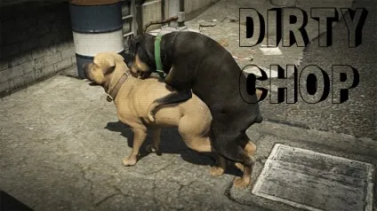 Собака чоп в gta 5 - як дресирувати, тренувати і відповіді на питання (дресирувати) Собака чоп в gta 5 - як дресирувати, тренувати і відповіді на питання