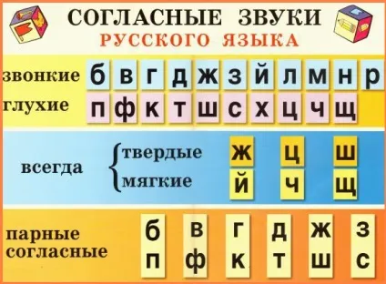 Приголосні звуки в українській мові пари по дзвінкості-глухість, по м'якості-твердості (звуки) Приголосні звуки в українській мові пари по дзвінкості-глухість, по м'якості-твердості