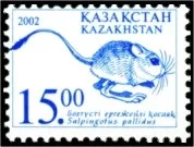 Трипалі карликові тушканчики карликові