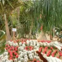 Тур Китай, БЕЙДАЙХЕ з Хабаровська за 22400р Вартість юанів