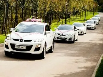 Весільні прикраси на машину - що вибрати і як прикрасити (прикраси) Весільні прикраси на машину - що вибрати і як прикрасити