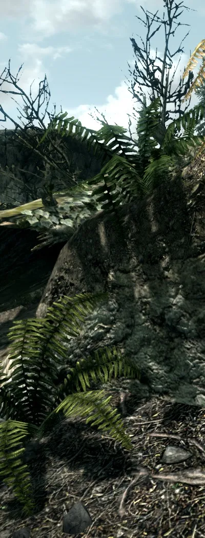 Тест 18 відеокарт в tes 5 skyrim