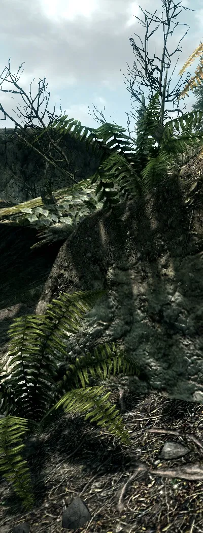 Тест 18 відеокарт в tes 5 skyrim