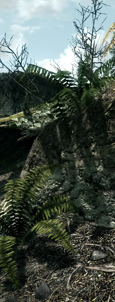 Тест 18 відеокарт в tes 5 skyrim