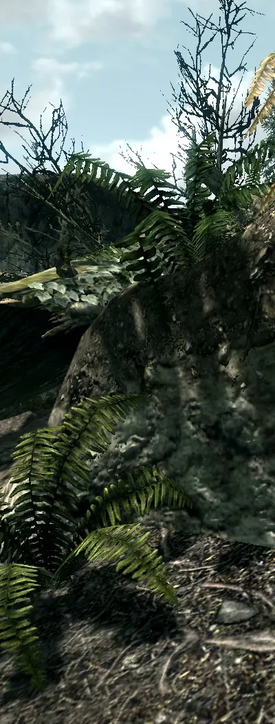 Тест 18 відеокарт в tes 5 skyrim