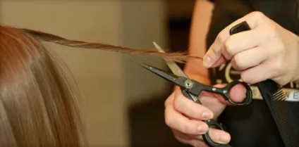 Стрижка лисячий хвіст на довгі, середні і короткі волосся техніка виконання, фото спереду і ззаду (довгі) Стрижка лисячий хвіст на довгі, середні і короткі волосся техніка виконання, фото спереду і ззаду