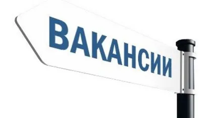 Рядок пошук по сайту (рядки пошуку) Рядок пошук по сайту