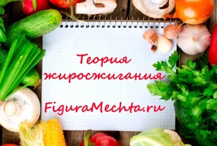 Теорія жироспалювання - позбавляємося від зайвого підшкірного жиру (теорія) Теорія жироспалювання - позбавляємося від зайвого підшкірного жиру