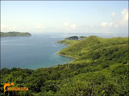 Світло в море