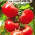 Томат спрут f1 (опис, вирощування та відгуки) (спрут) Томат спрут f1 (опис, вирощування та відгуки)