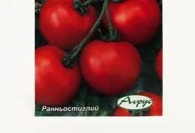 Томат яблонькаУкаіни відгуки та фото характеристика помідор, опис сорту і картинки (яблунька) Томат яблонькаУкаіни відгуки та фото характеристика помідор, опис сорту і картинки