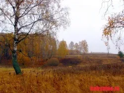 Навчальна стаття як люди руйнують природу (люди) Навчальна стаття як люди руйнують природу