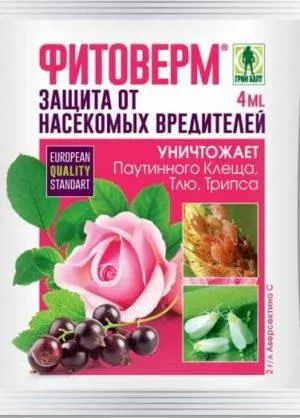 Попелиця на калині як боротися, народні засоби (боротьби попелиць калині) Попелиця на калині як боротися, народні засоби