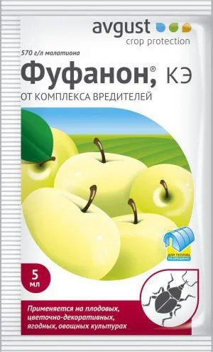 Попелиця на калині як боротися, народні засоби (кошти) Попелиця на калині як боротися, народні засоби