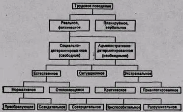Трудова поведінка і трудовий колектив - економіка (дипломна) Трудова поведінка і трудовий колектив - економіка