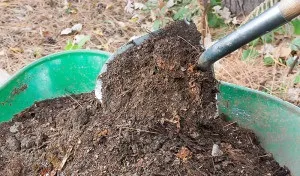 Добрива для овочів - на чому зупинити вибір відео (агрогосподарства використовують потужні) Добрива для овочів - на чому зупинити вибір відео