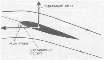 Кут атаки літака