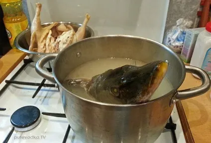 Юшка архієрейська, путеводка