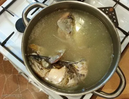 Юшка архієрейська, путеводка