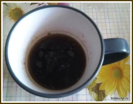 Догляд за кішками і собаками
