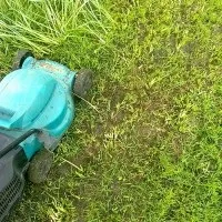 Відновлення газону навесні (відновлення газону) Відновлення газону навесні