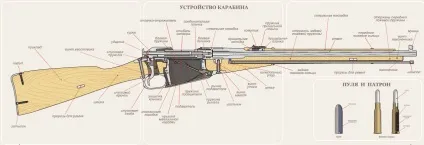 Гвинтівка Мосіна - зброя війни (27 фото) (гвинтівка) Гвинтівка Мосіна - зброя війни (27 фото)