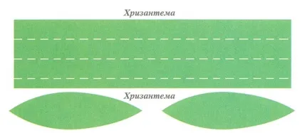 Хризантема з паперу своїми руками для дітей (паперу) Хризантема з паперу своїми руками для дітей