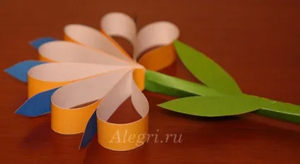 Хризантема з паперу своїми руками для дітей (руками) Хризантема з паперу своїми руками для дітей